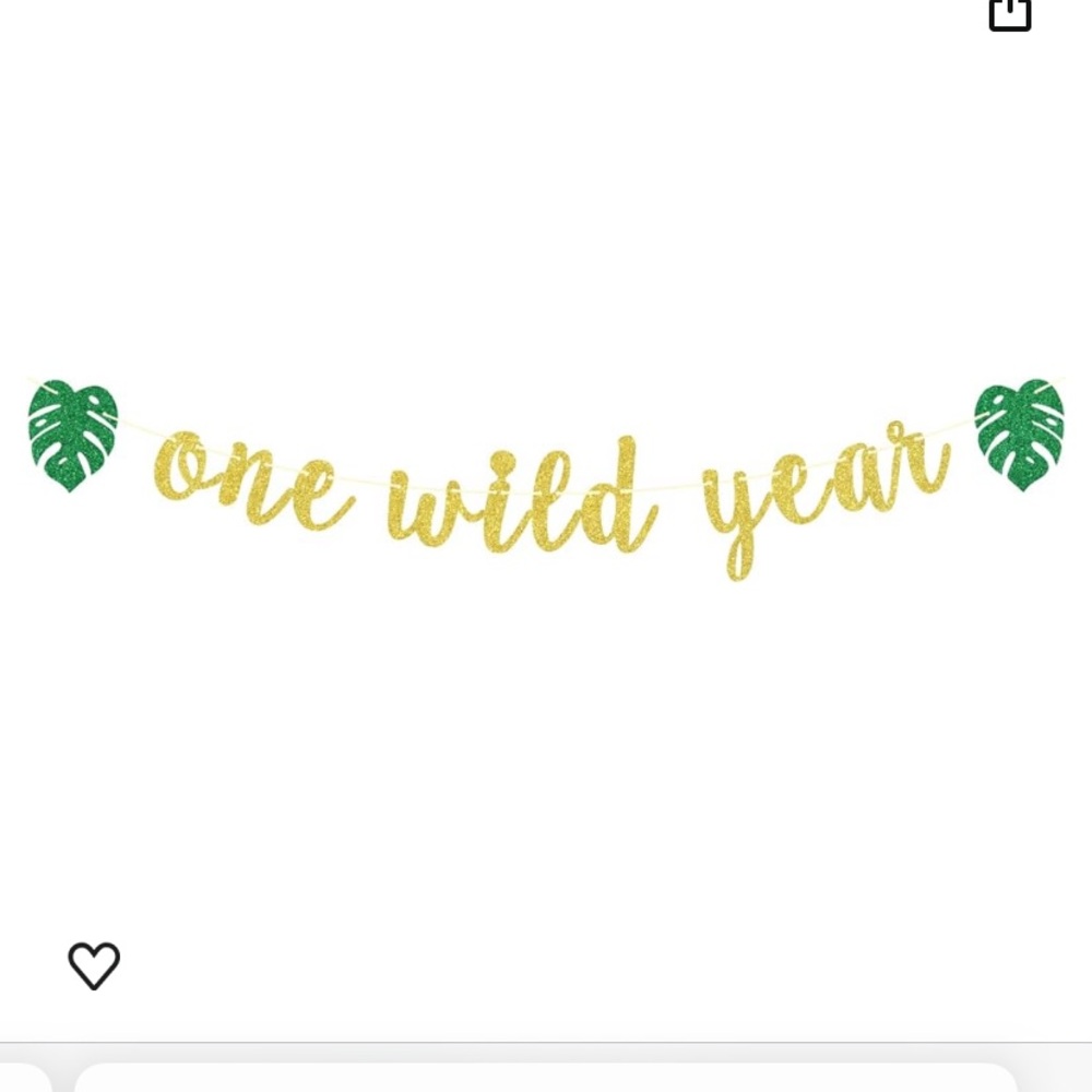 One Wild Year Banner